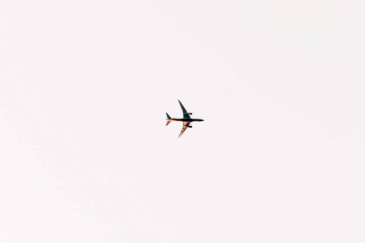 bird black and gray airplane on sky flying