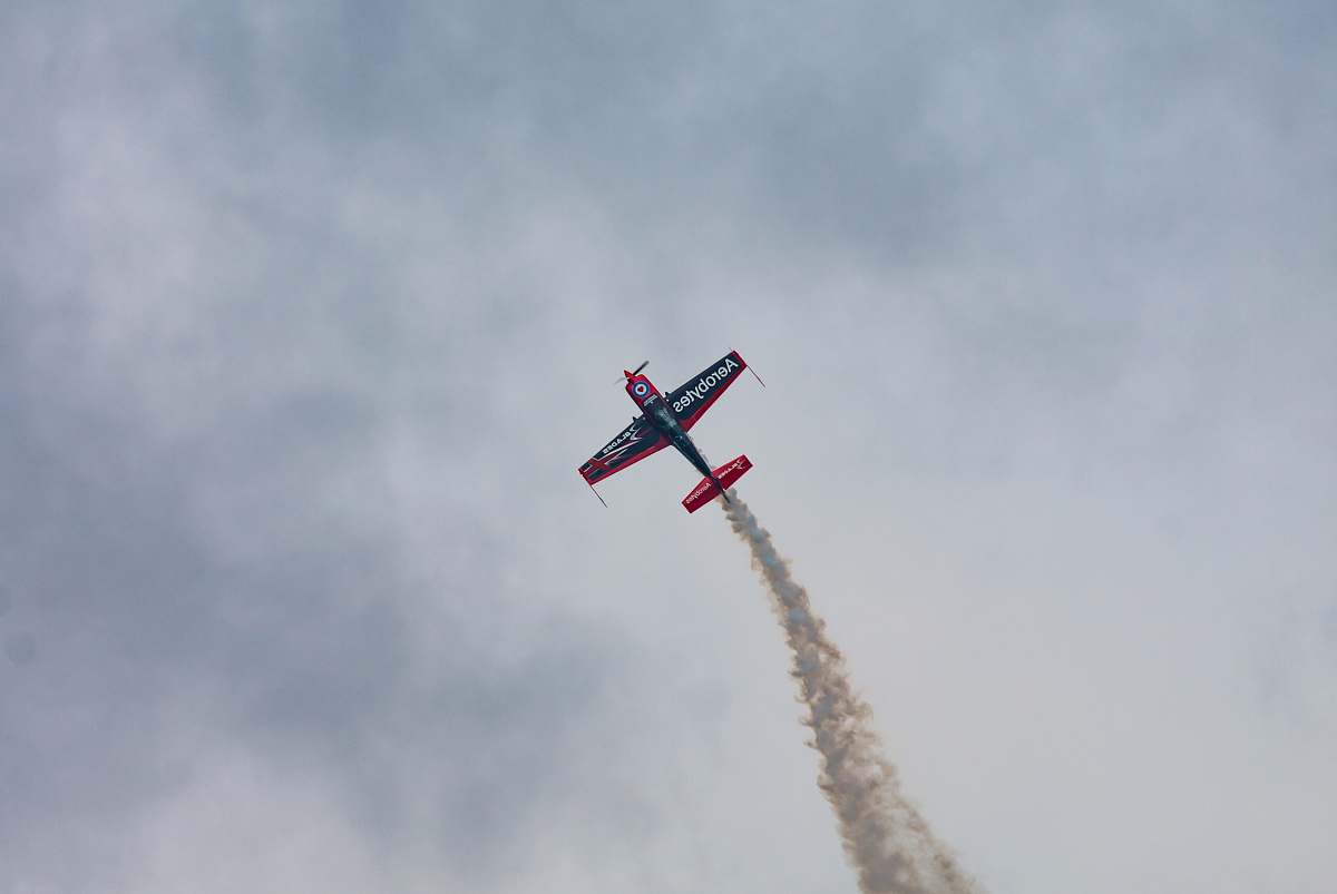 bird black and red monoplane flying