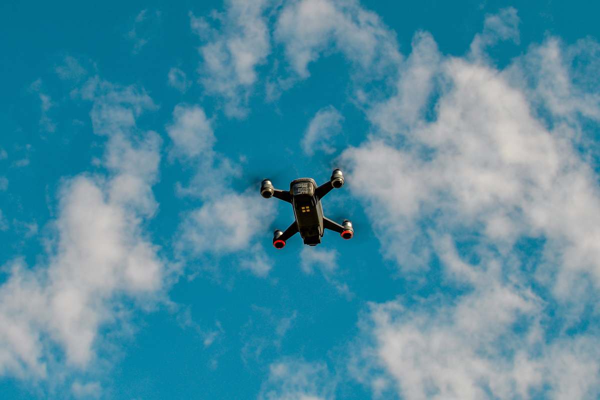 bird black drone under blue sky flying