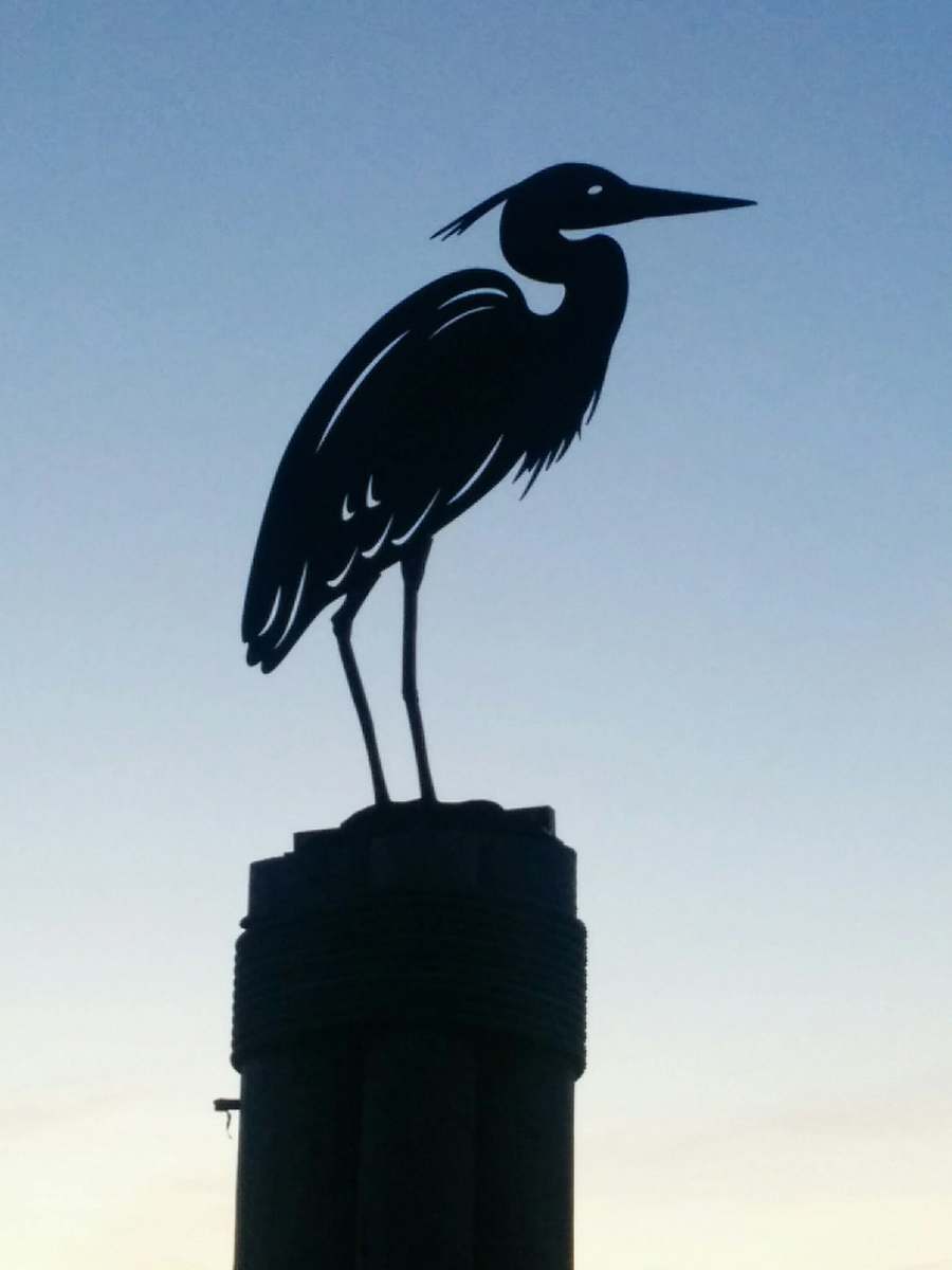bird black pelican bird silhouette stork