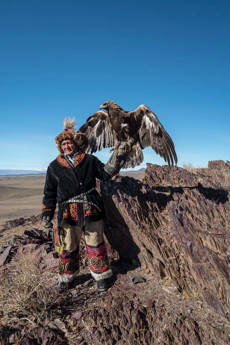 bird brown eagle perched on person's hand wearing black coat standing on rock while vulture