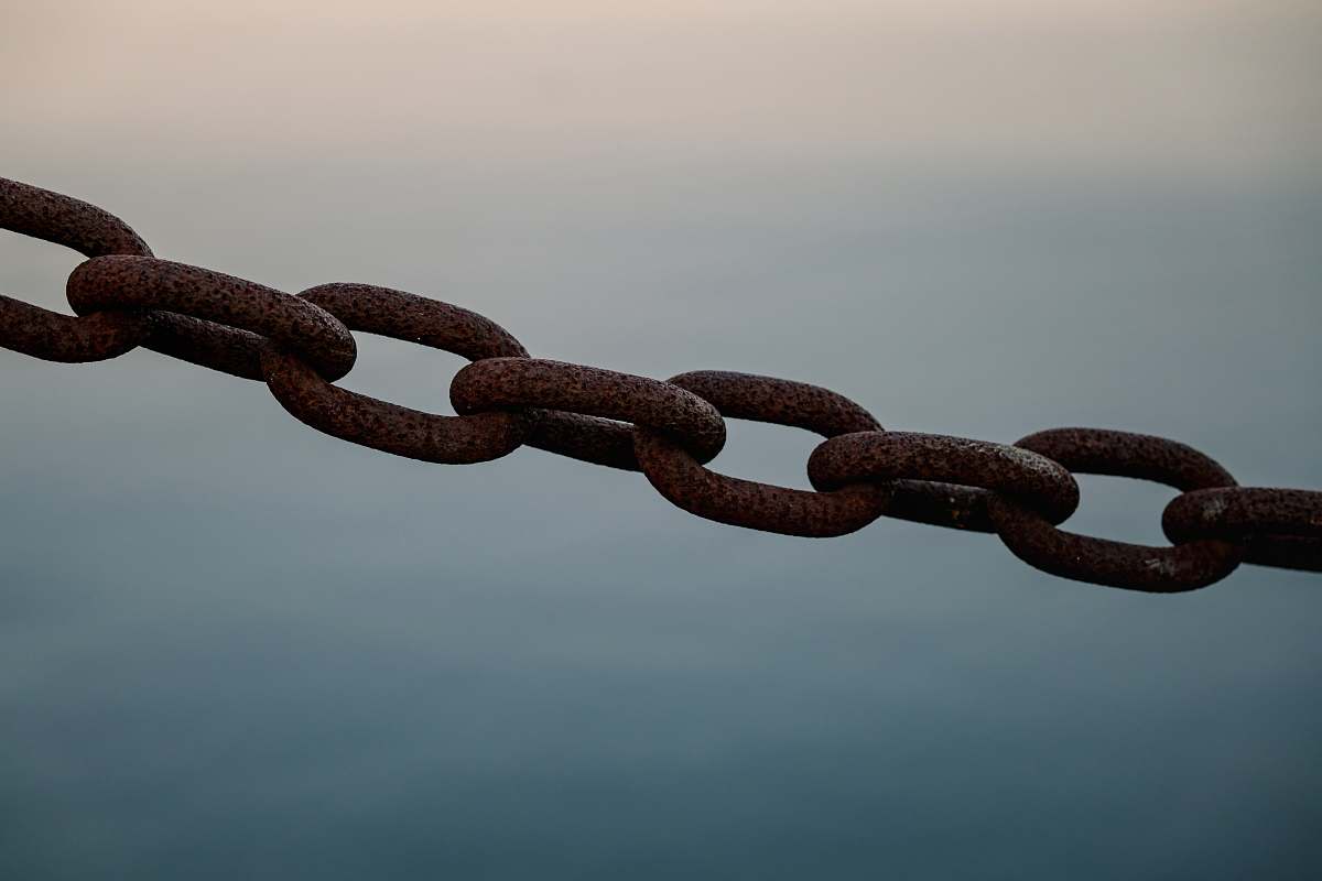 reptile brown metal chain snake