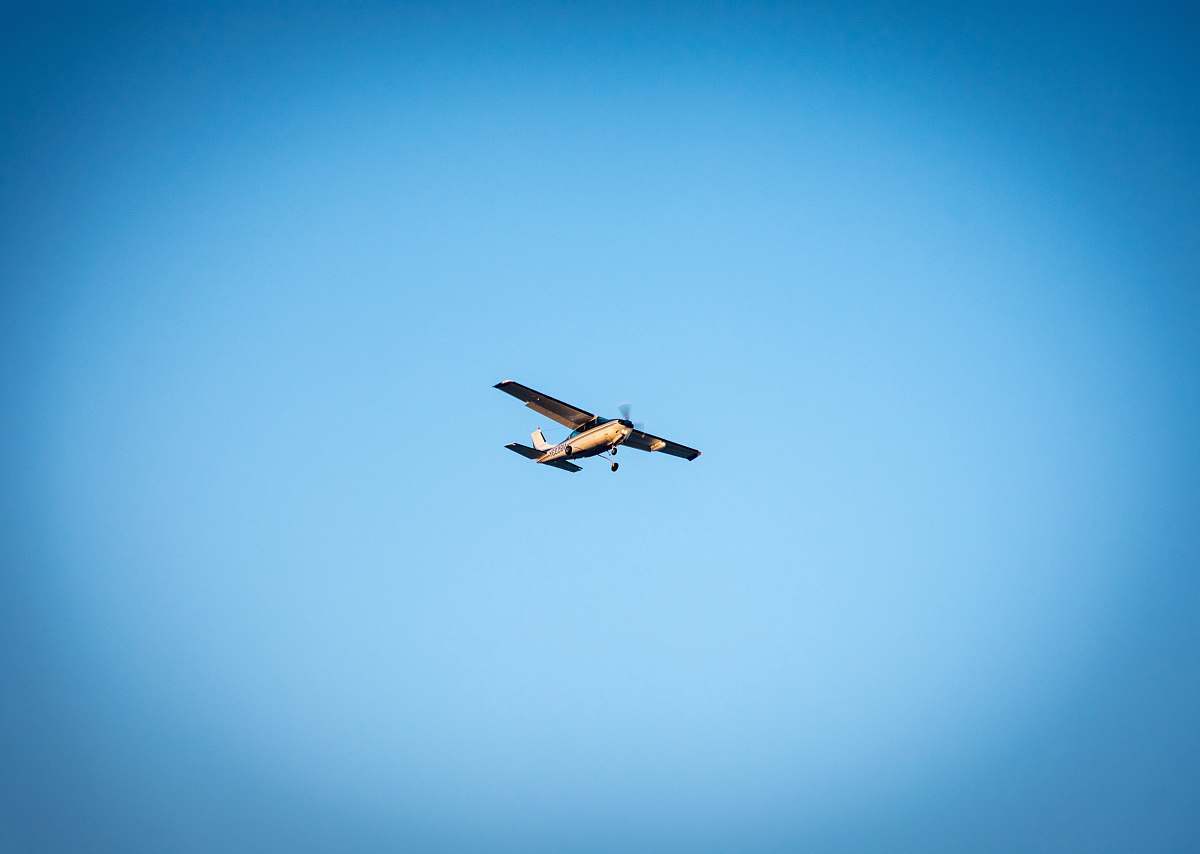 bird brown monoplane under blue sky flying