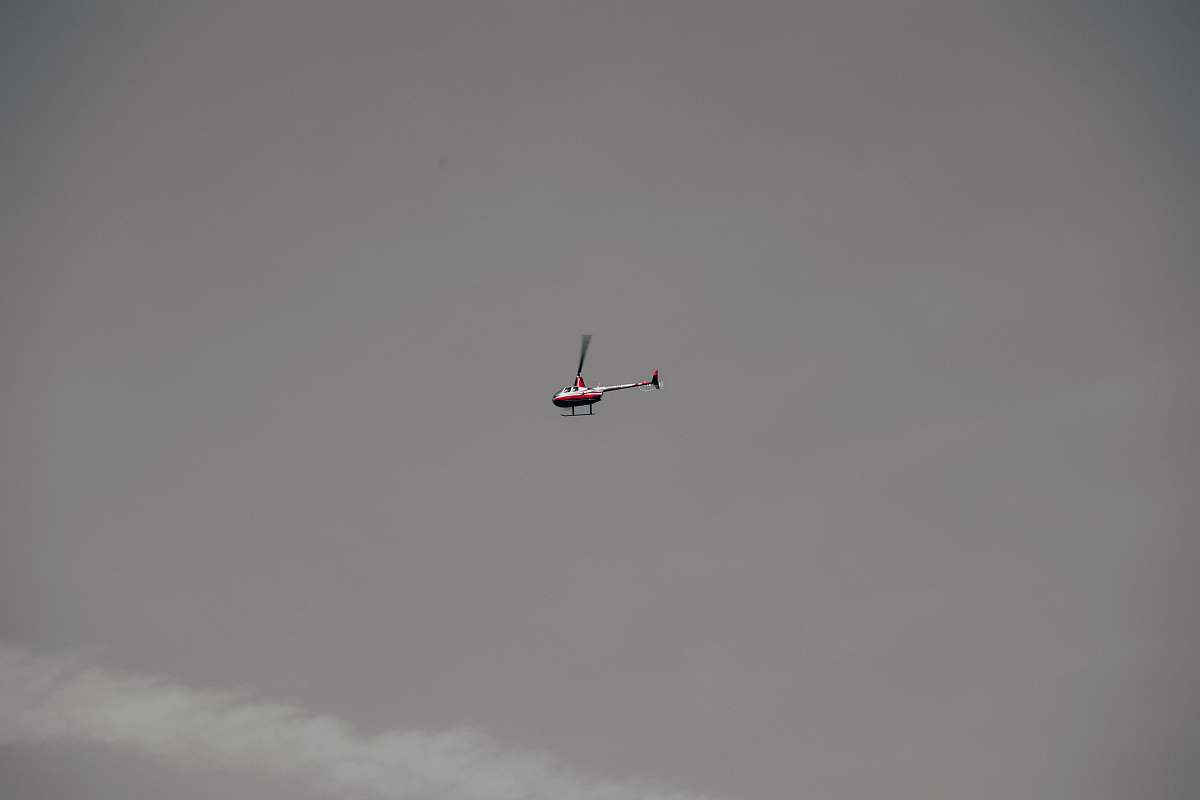 bird chopper on sky flying