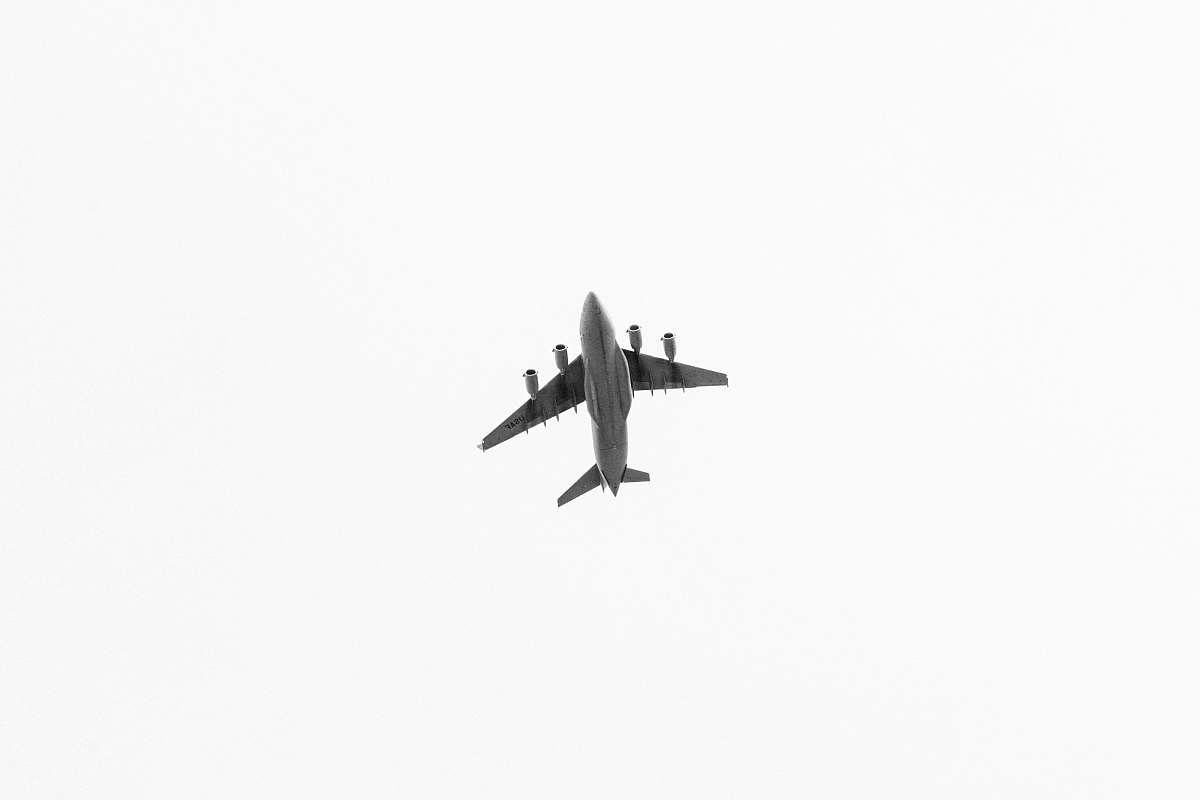 bird flying airplane black-and-white