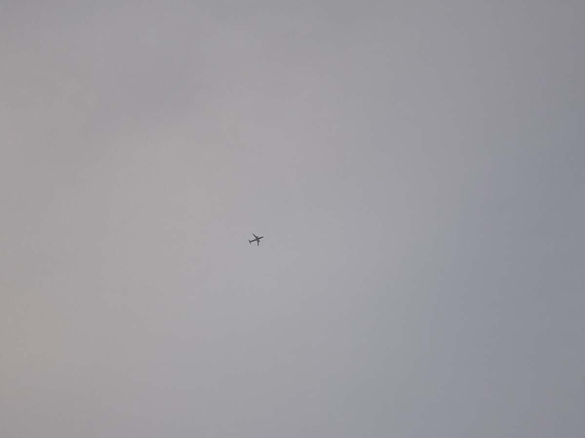 black-and-white flying airplane grey