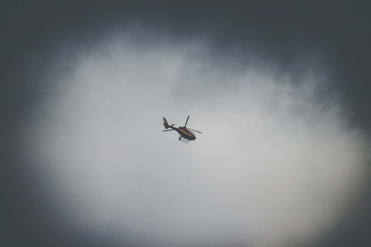 bird flying black and brown helicopter grey