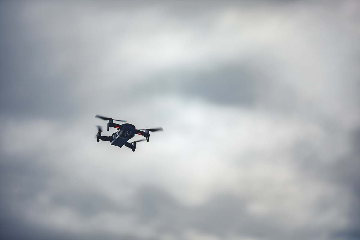bird flying quadcopter flying