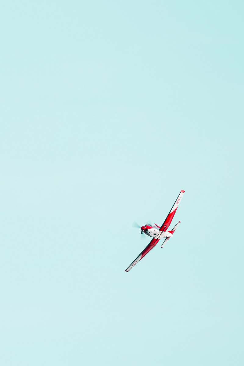 bird flying red and white biplane flying