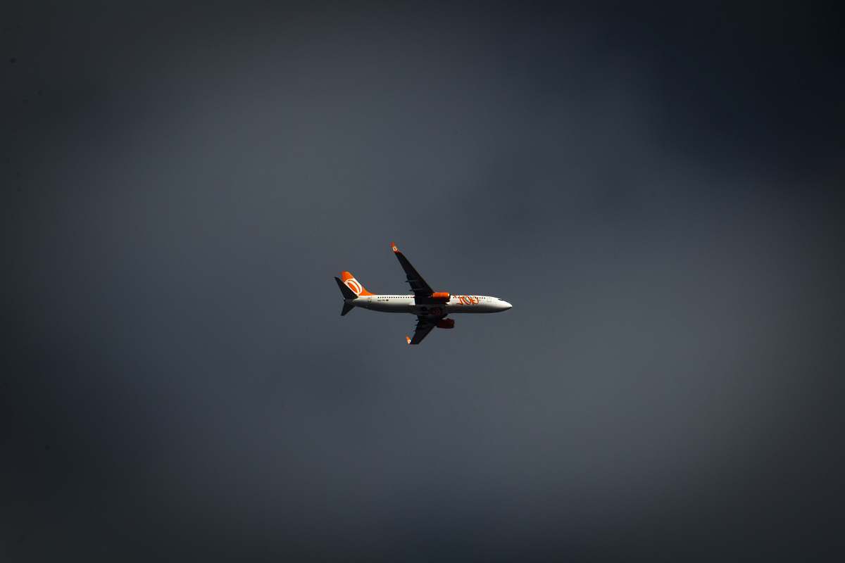 bird flying white and red plane under cloudy sky ] flying