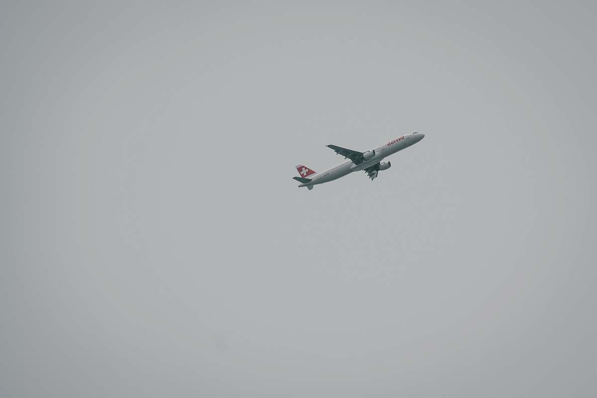 bird flying white plane grey