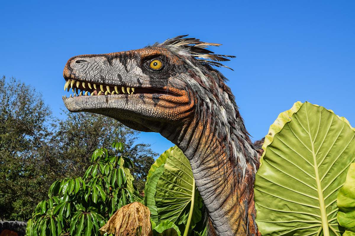 dinosaur gray and brown dinosaur surrounded by trees during daytime reptile