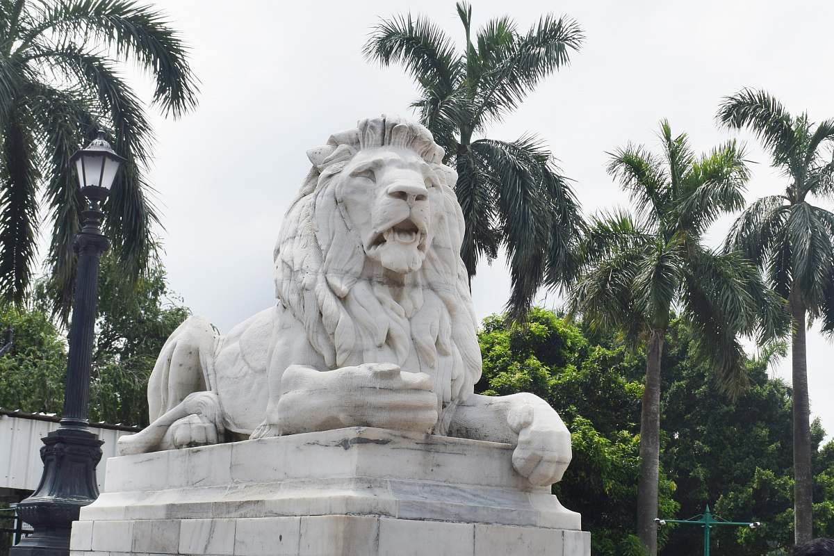 mammal lion statue lion