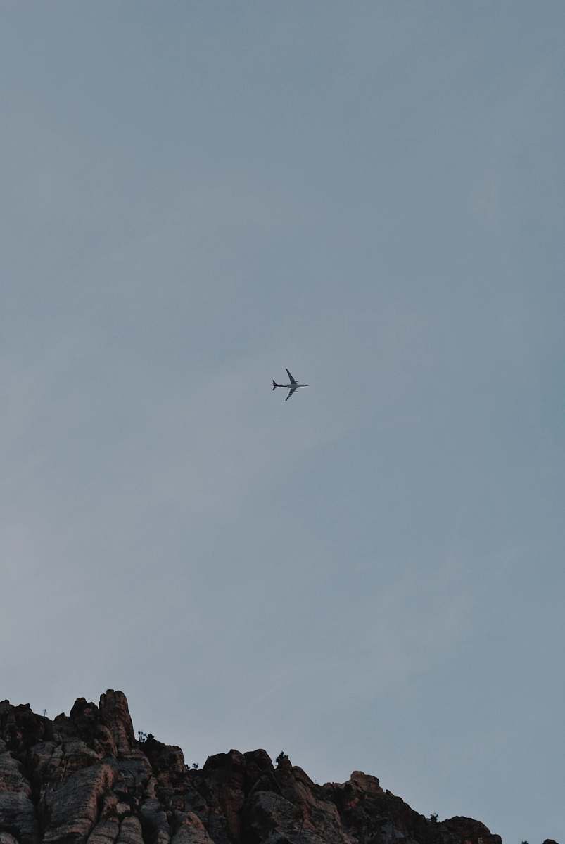 bird low-angle photography of airplane flying