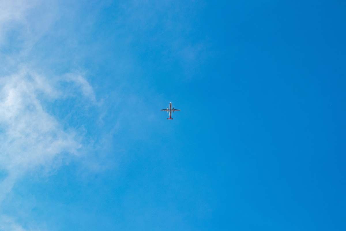 bird low-angle photography of gray airplane on air flying