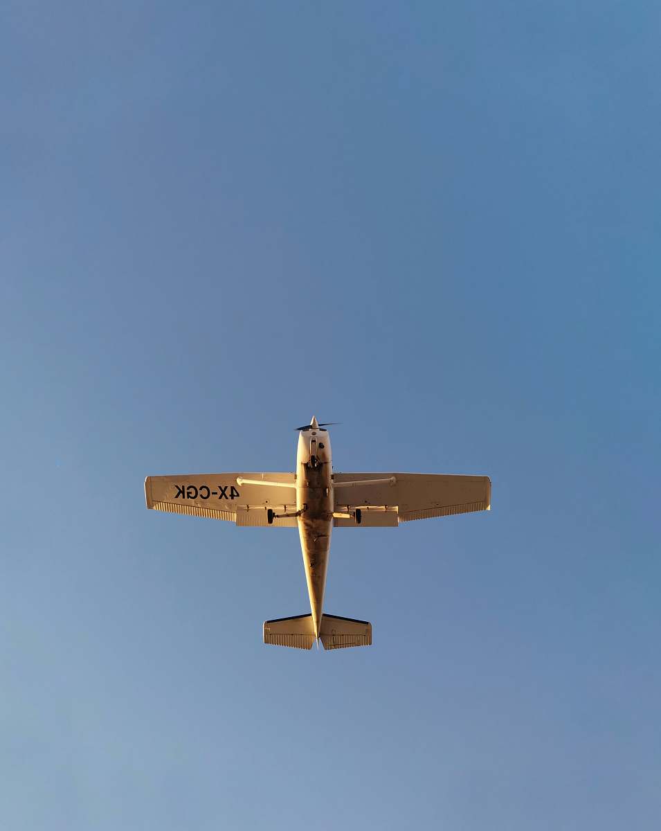 bird low-angle photography of monoplane flying