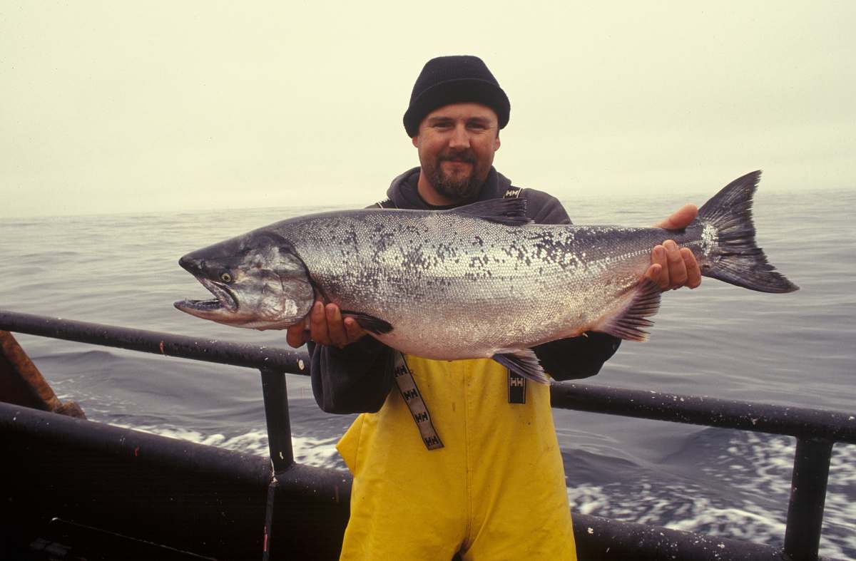 fish man carrying silver fish coho