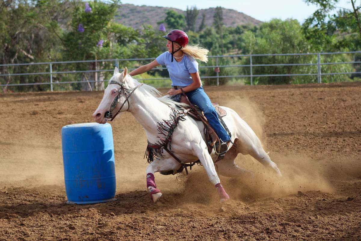 horse man riding horse mammal
