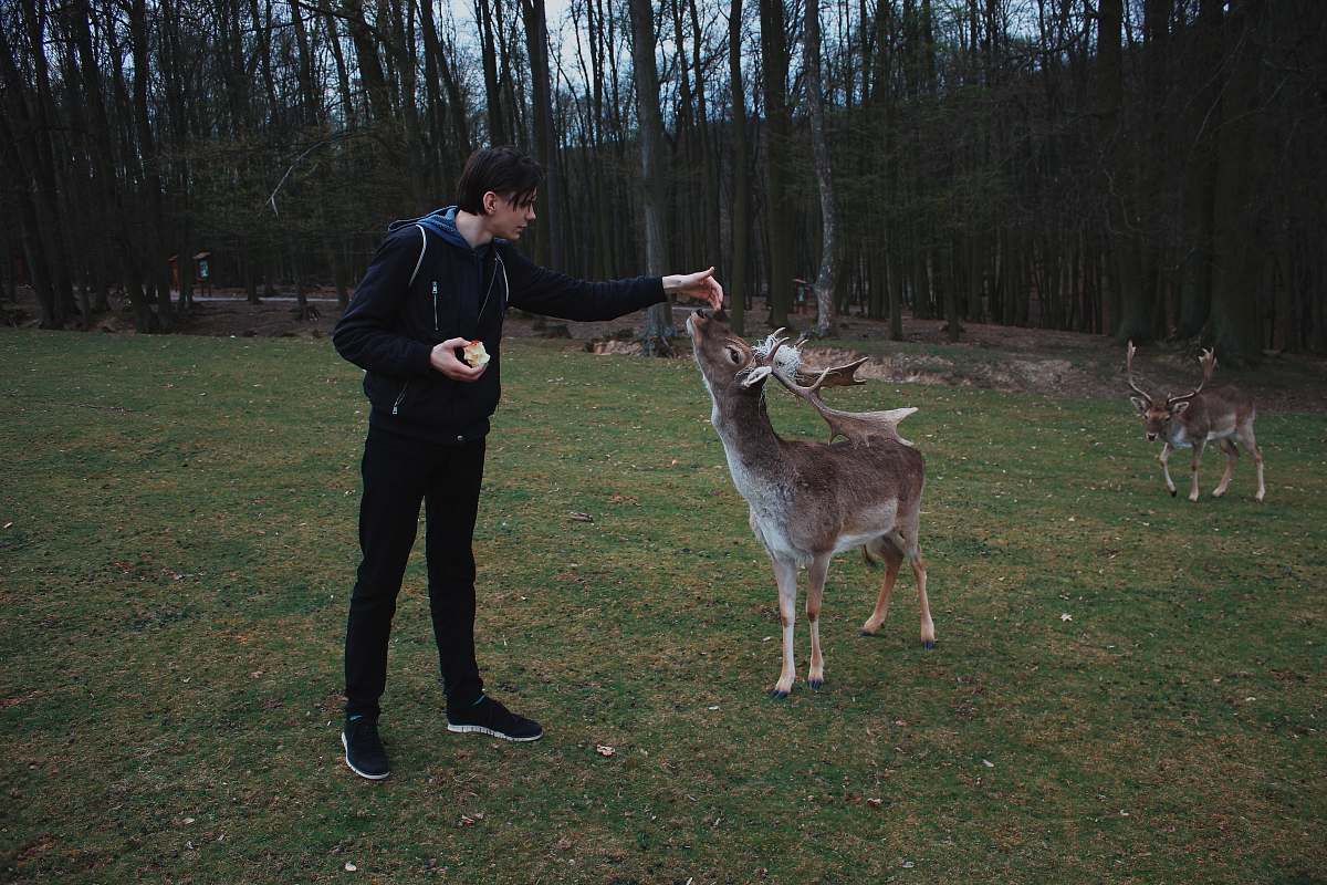 mammal man standing beside deer antelope
