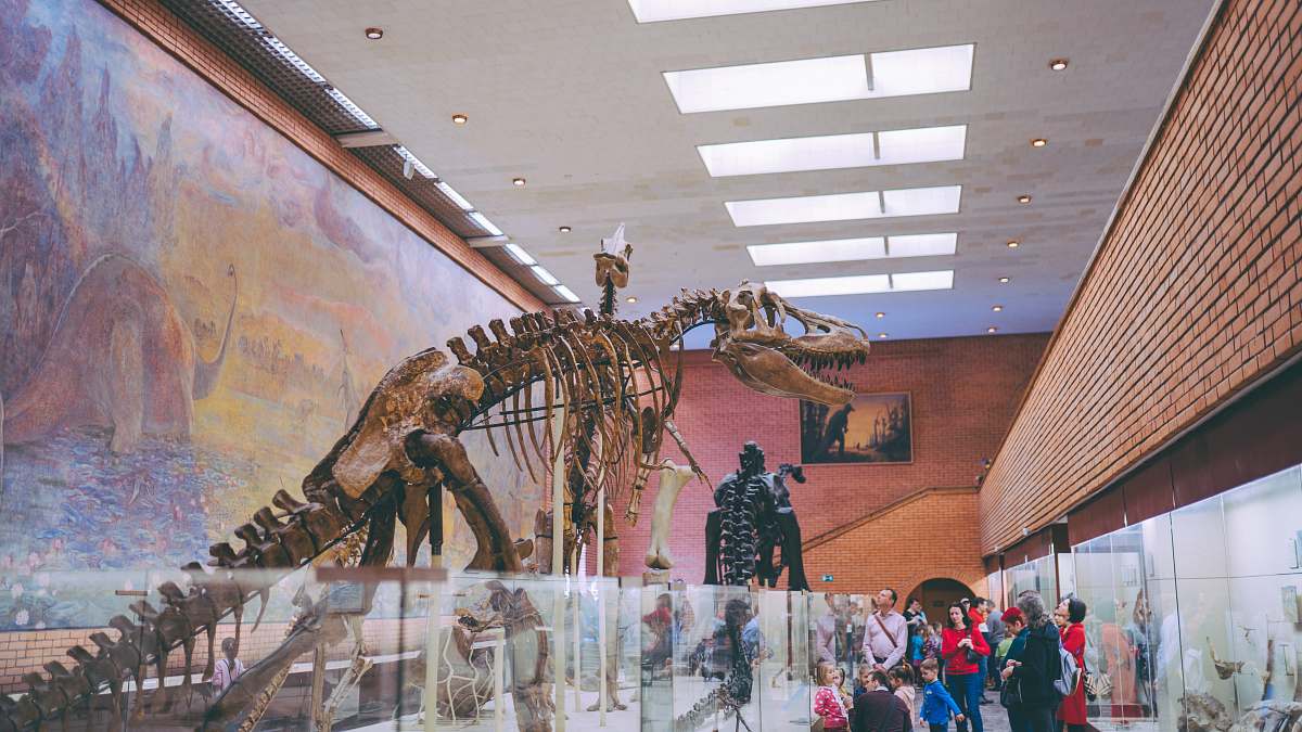 reptile people standing near dinosaur skeleton dinosaur