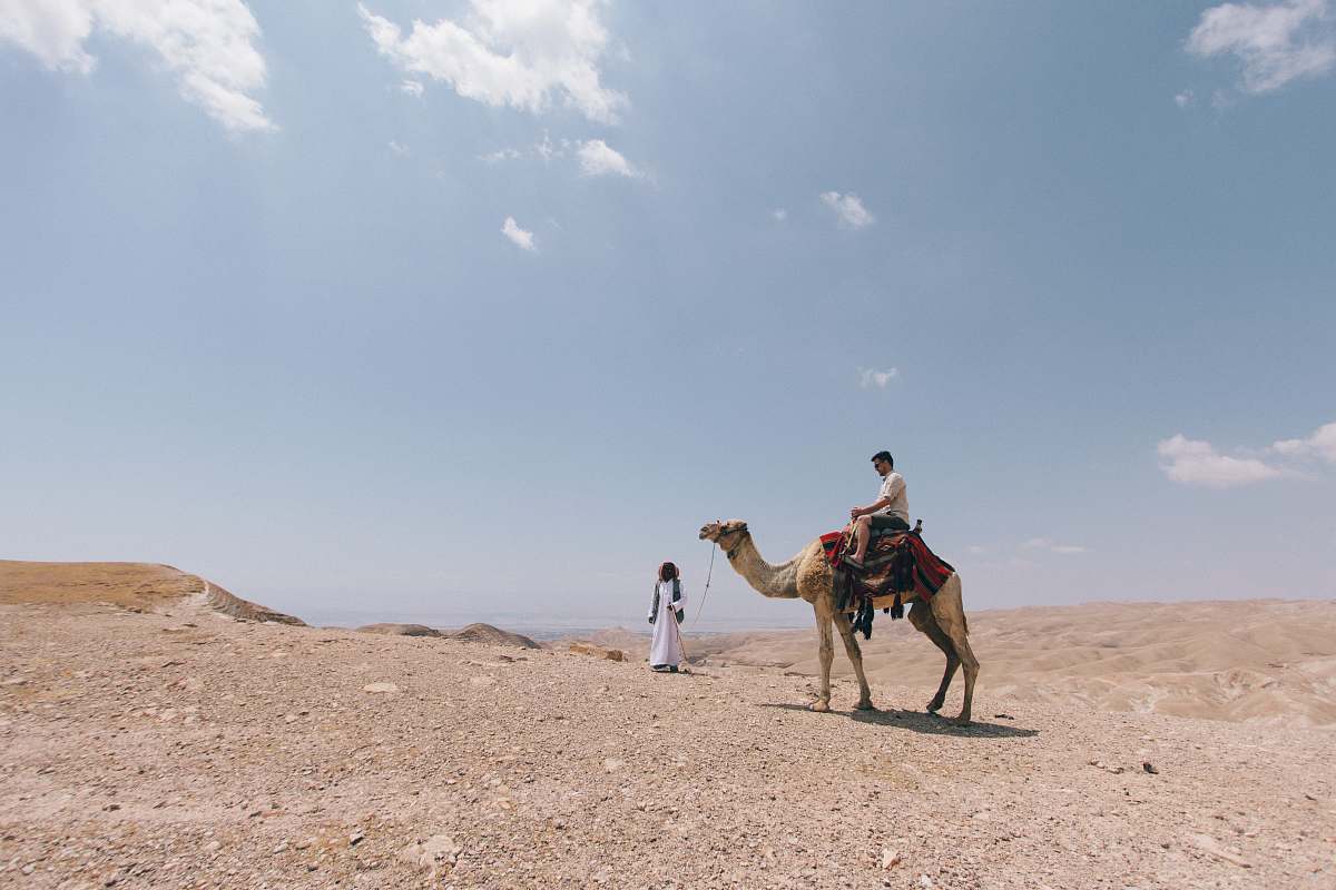 camel person ride on camel on desert desert