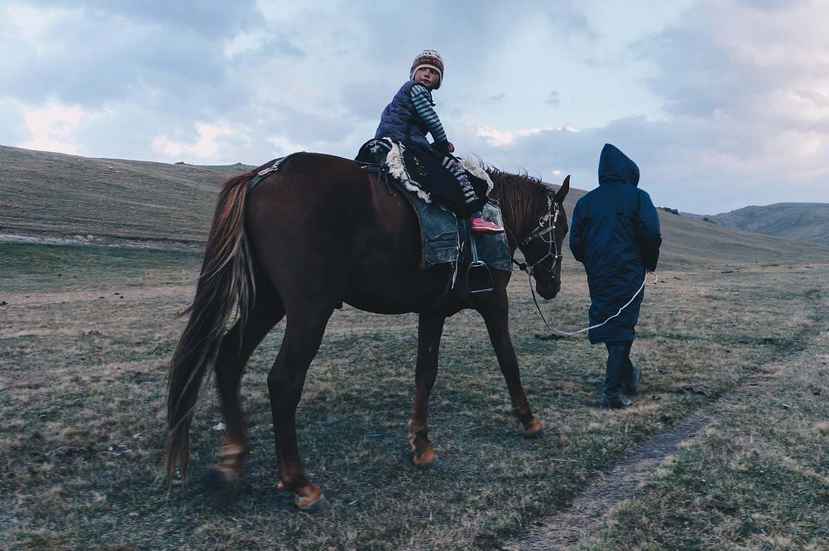 mammal person riding on brown horse horse
