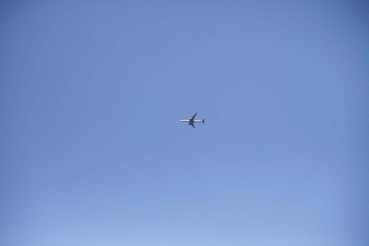 bird photography of white air liner during flight flying