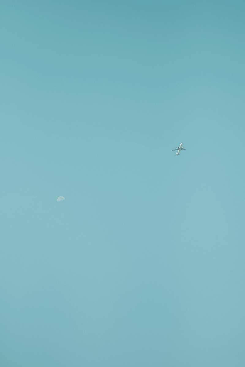 bird plane on sky at daytime flying
