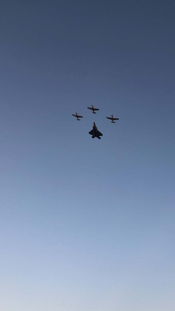 bird planes flying on sky flying