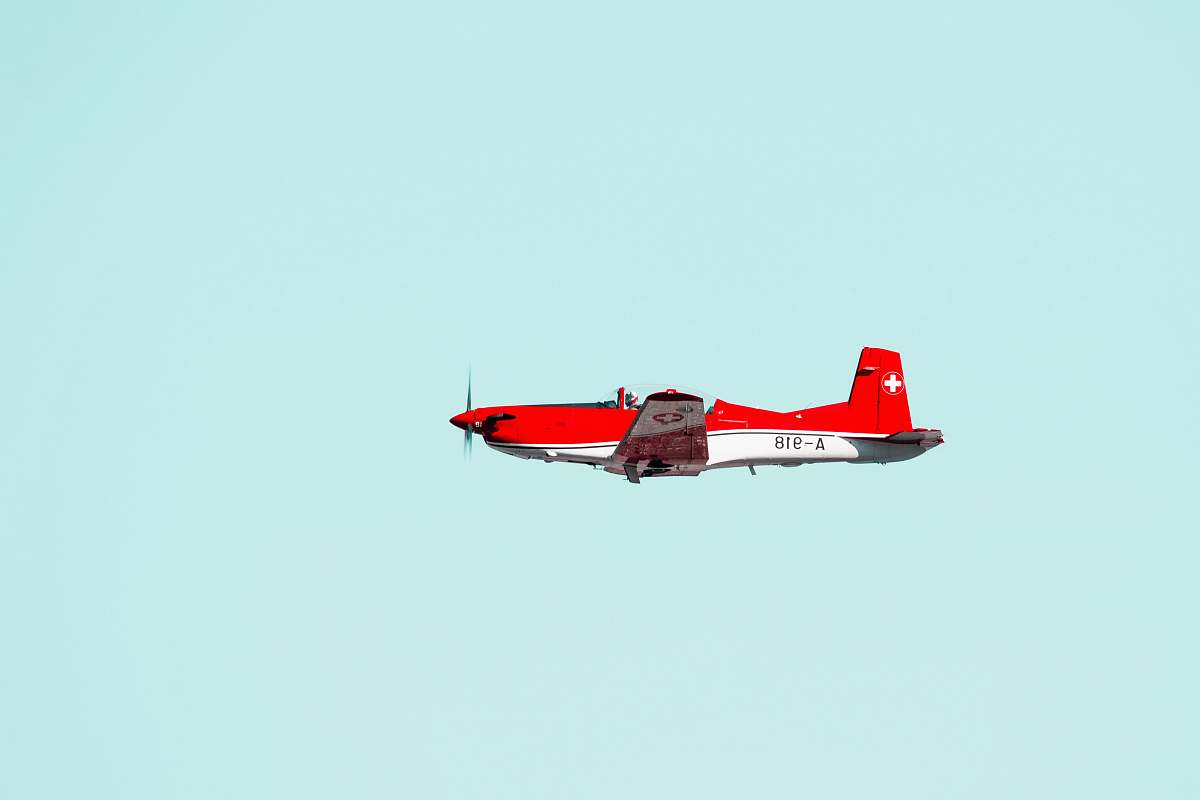 flying red and white aircraft bird