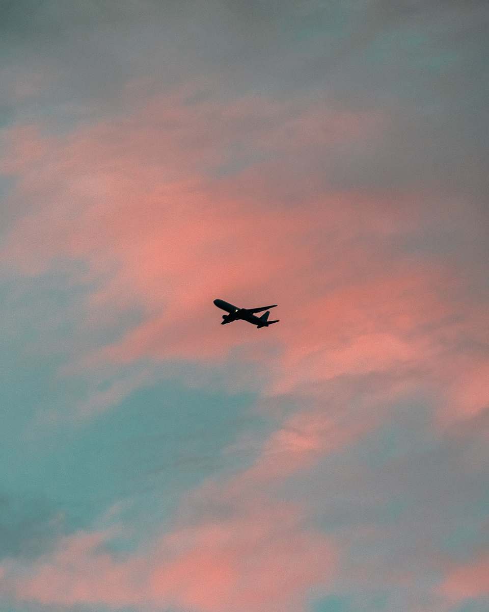 bird silhouette of airplane flying