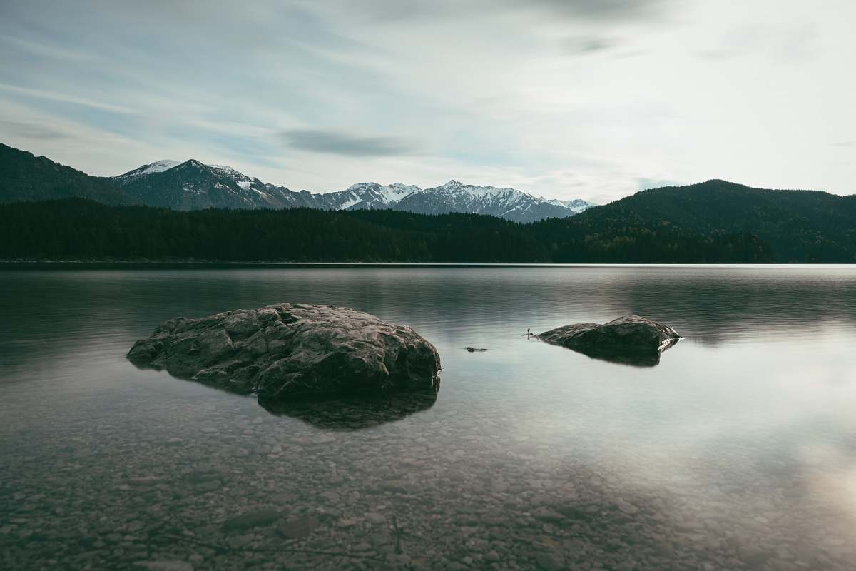 reptile snow cover mountain photography sea life