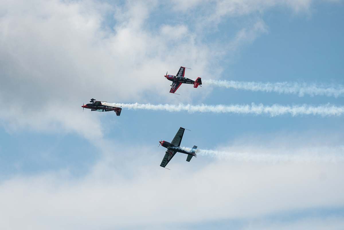 bird three plane on flight flying