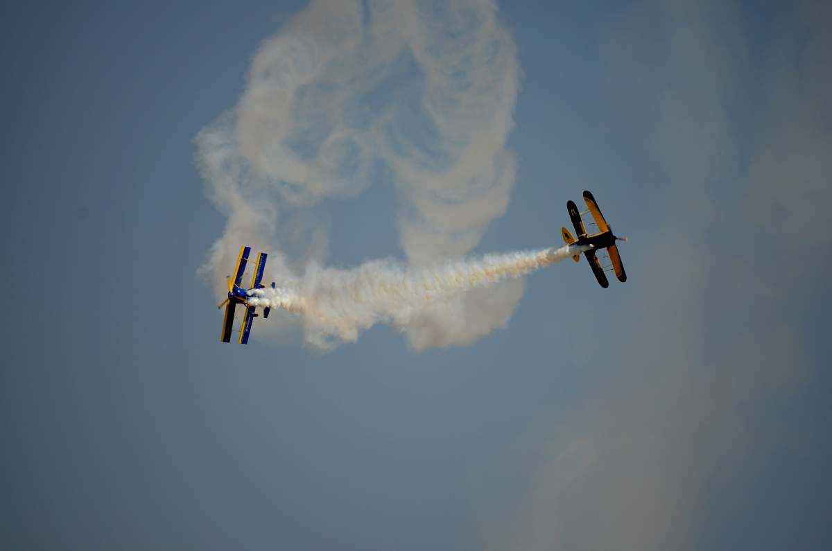 bird two planes in fligh flying