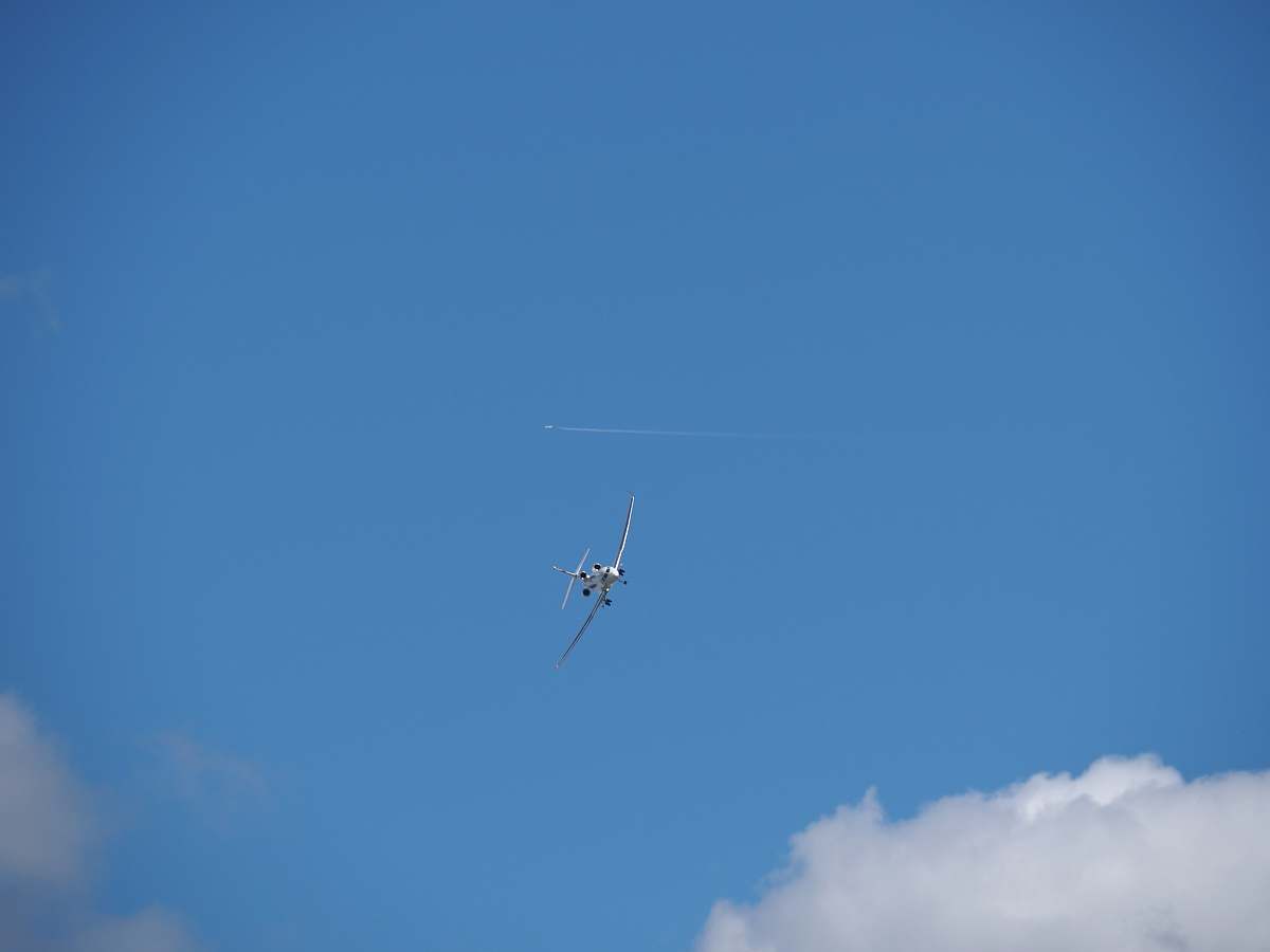 bird white air liner blue