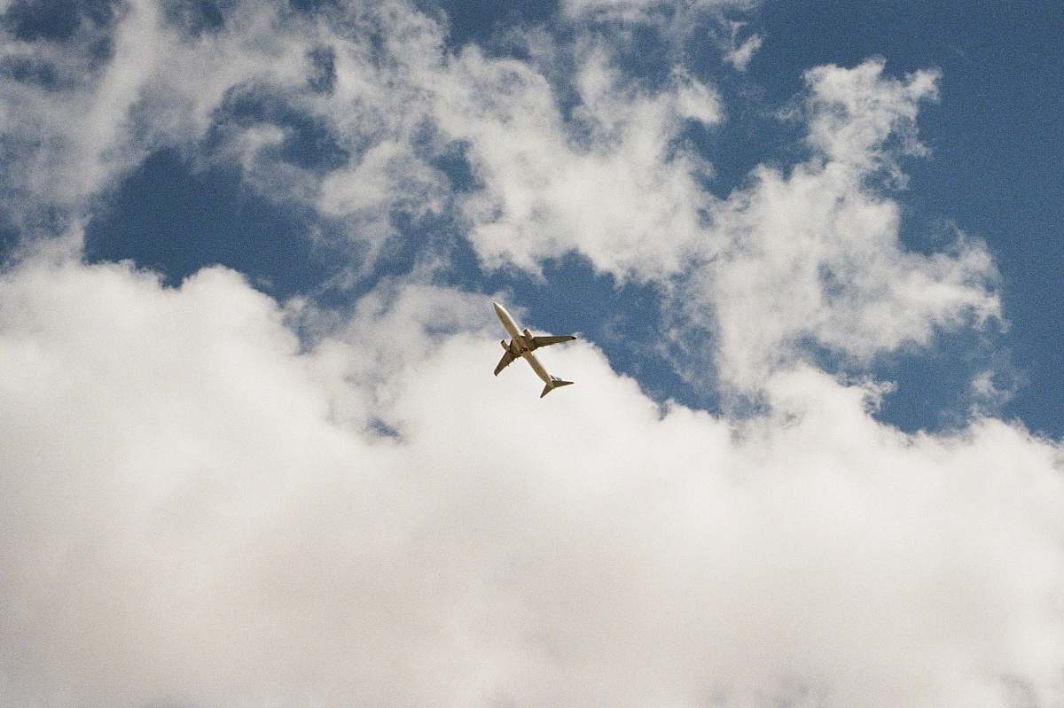 bird white airplane in air during daytime flying