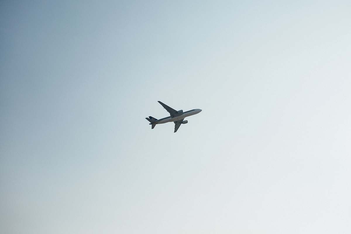 bird white airplane on air flying