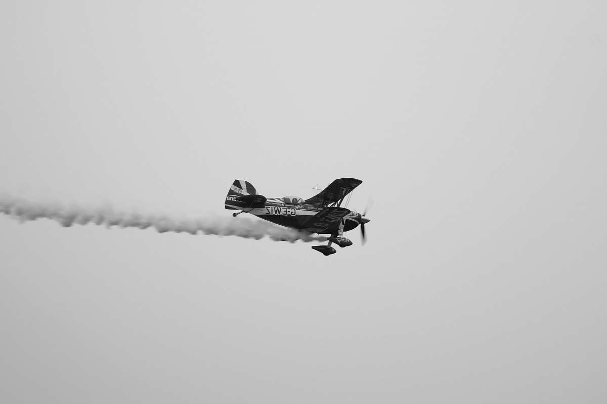 bird white and black monoplane on flight black-and-white