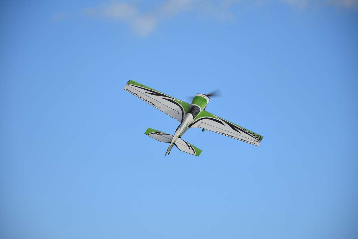 bird white and green biplane flying