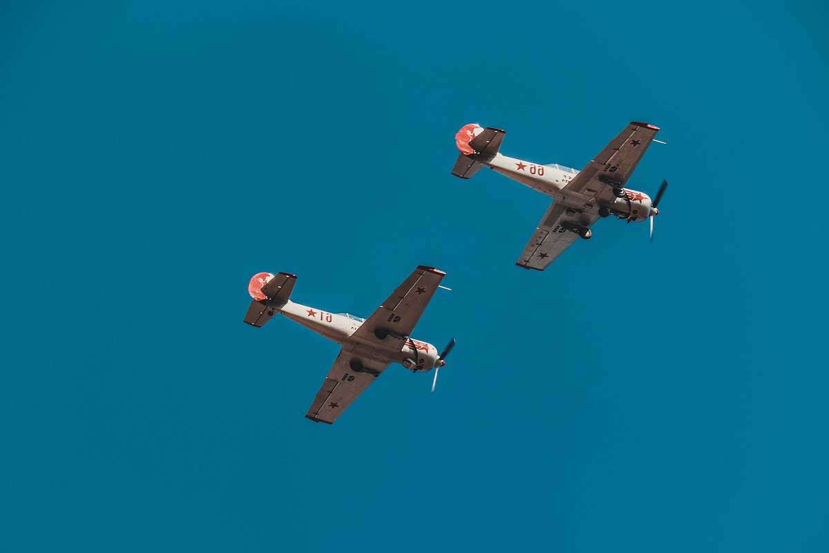 flying white and orange biplanes bird