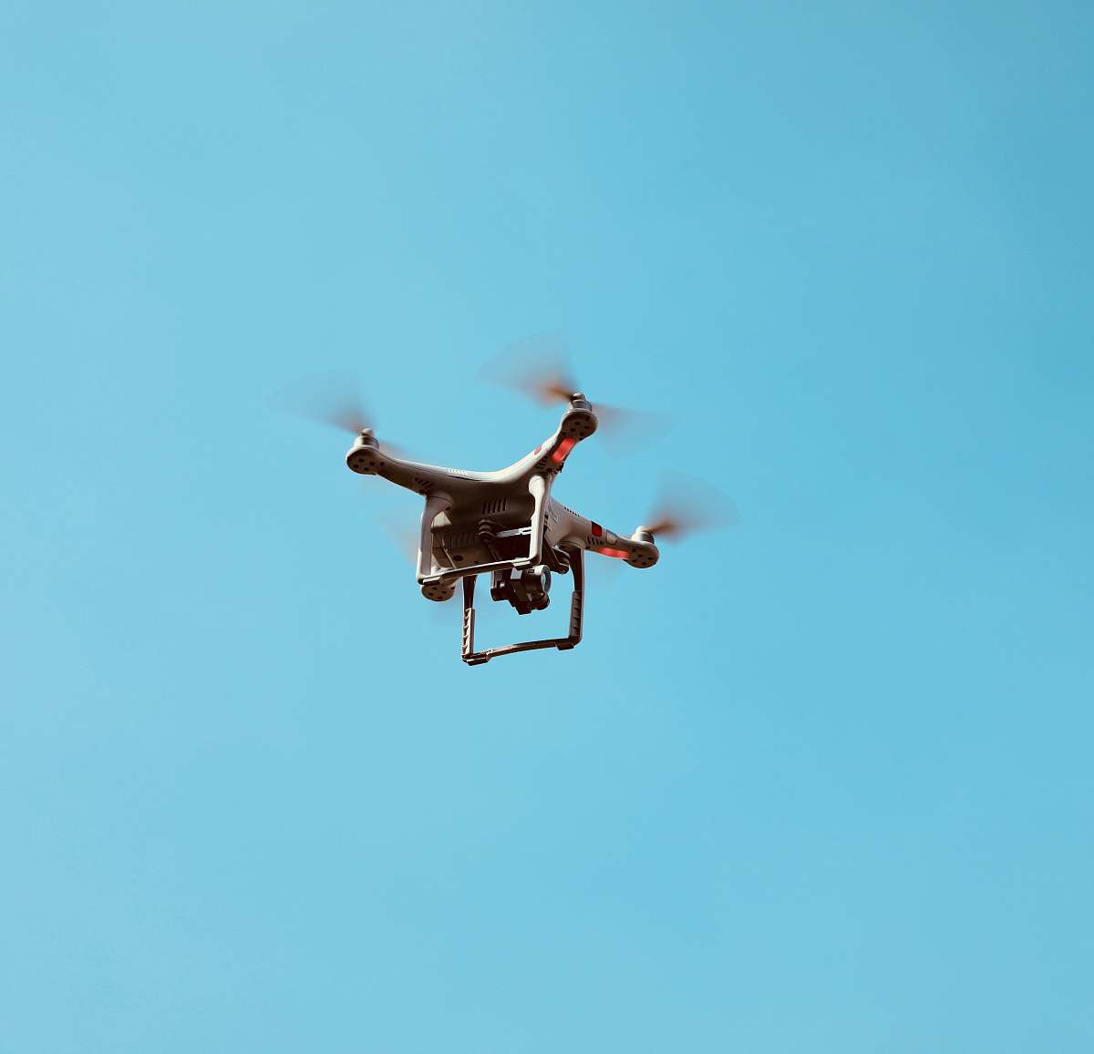 bird white quadcopter drone in flight flying