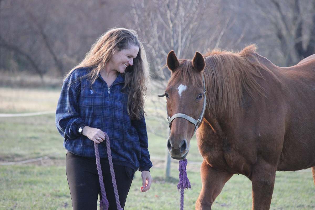 mammal woman holding brown horse horse
