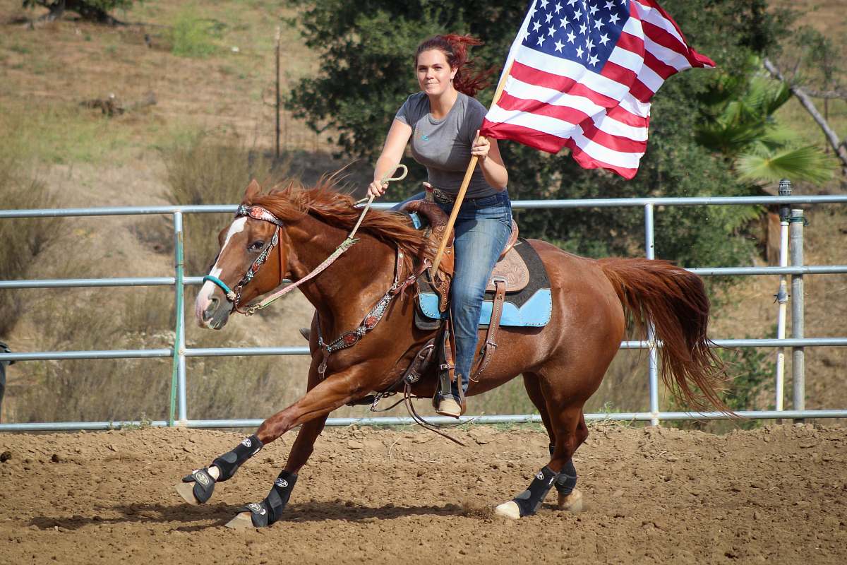 mammal woman holding US flag riding brown horse during daytime horse