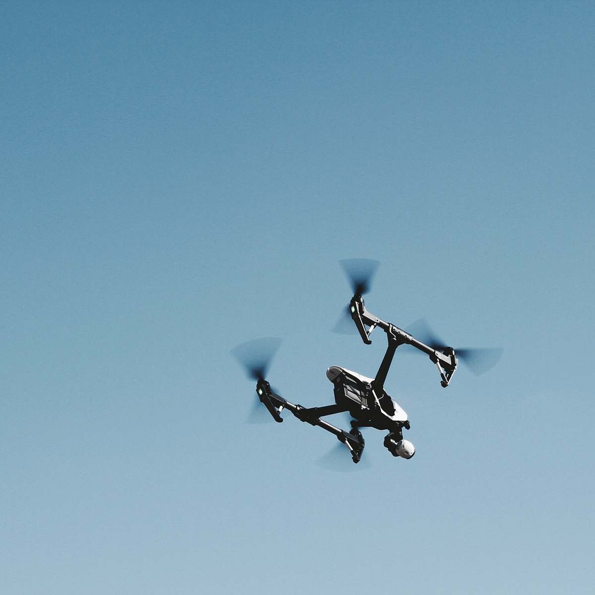 animal black and gray quadcopter drone in mid air flying