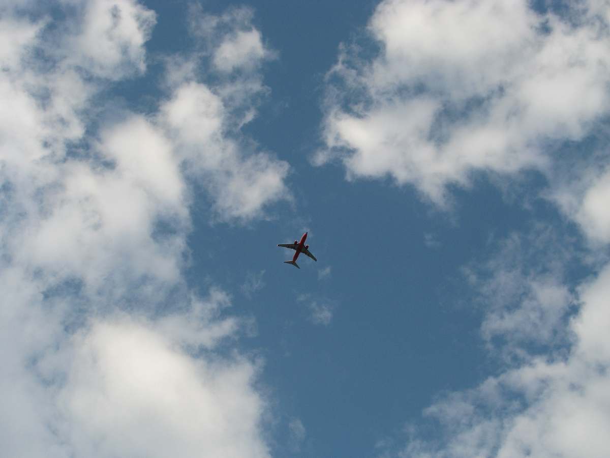 animal black and red airplane under blue and white skies flying