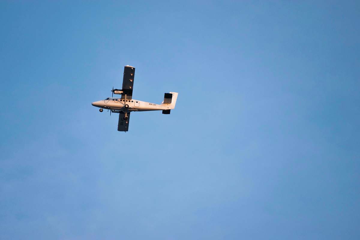 animal flying gray single-propeller plane during daytime flying