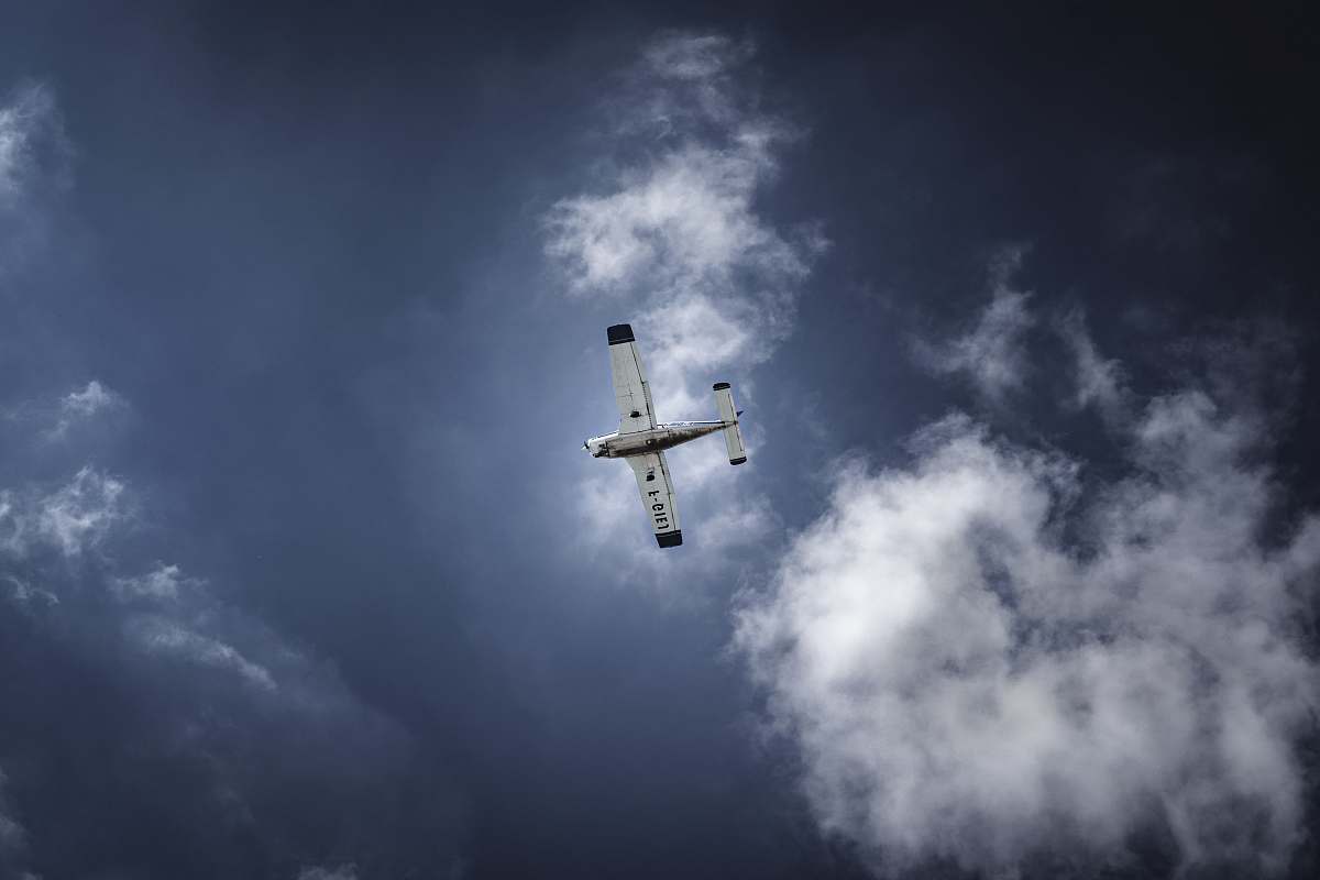 animal gray and black flying plane during daytime flying