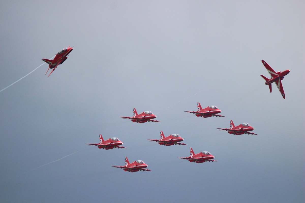 animal nine red airplanes at flight flying