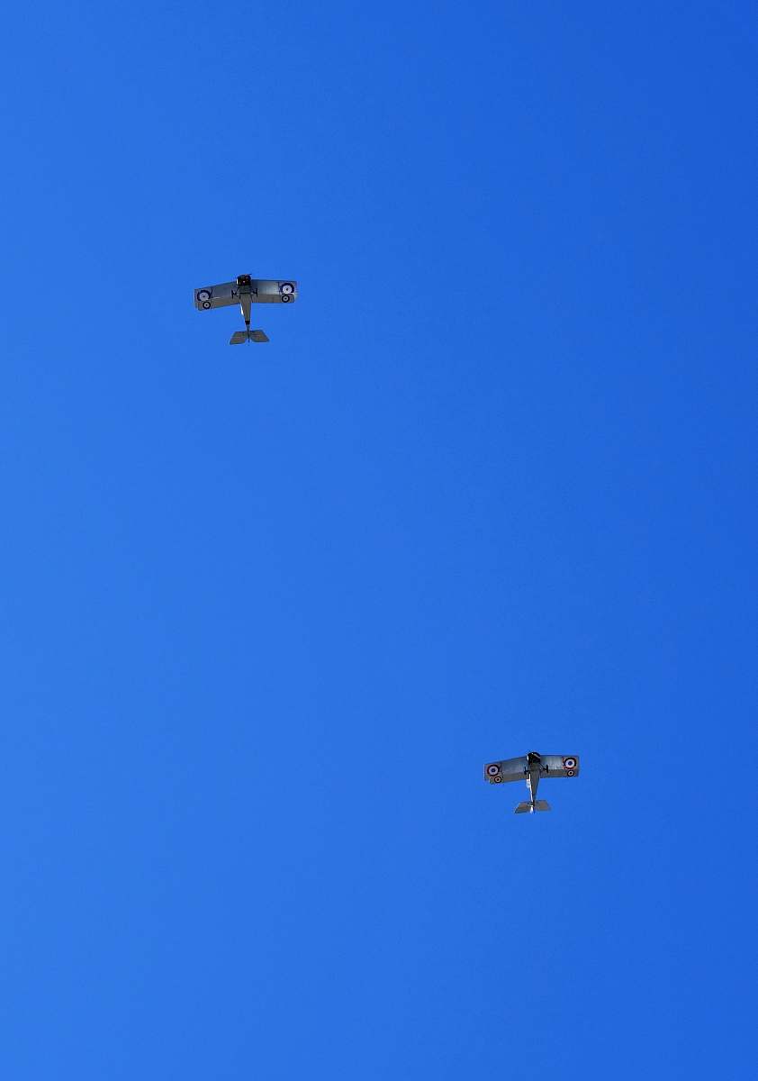 animal two white jet fighters flying