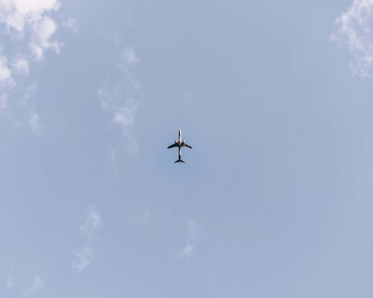 animal whit airplane midair flying